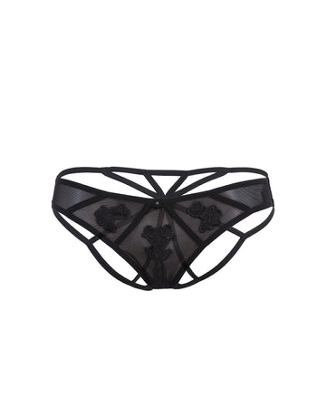 Nova Brief